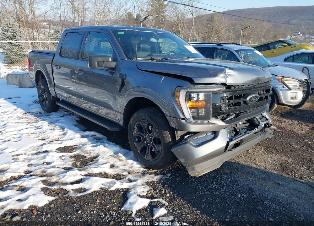 2023 FORD F-150 XLT VIN: 1FTFW1E88PFD25001