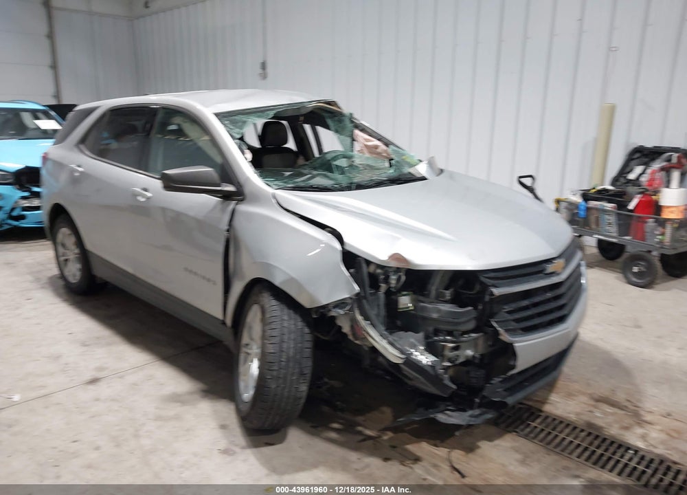 2019 CHEVROLET EQUINOX LS VIN: 2GNAXHEV3K6285247