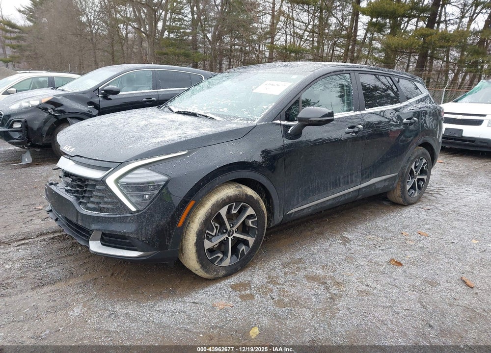 2025 KIA SPORTAGE EX VIN: 5XYK33DF3SG269526