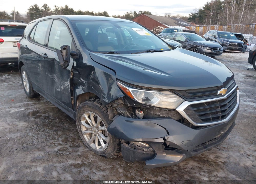 2019 CHEVROLET EQUINOX LS VIN: 2GNAXSEV0K6268709
