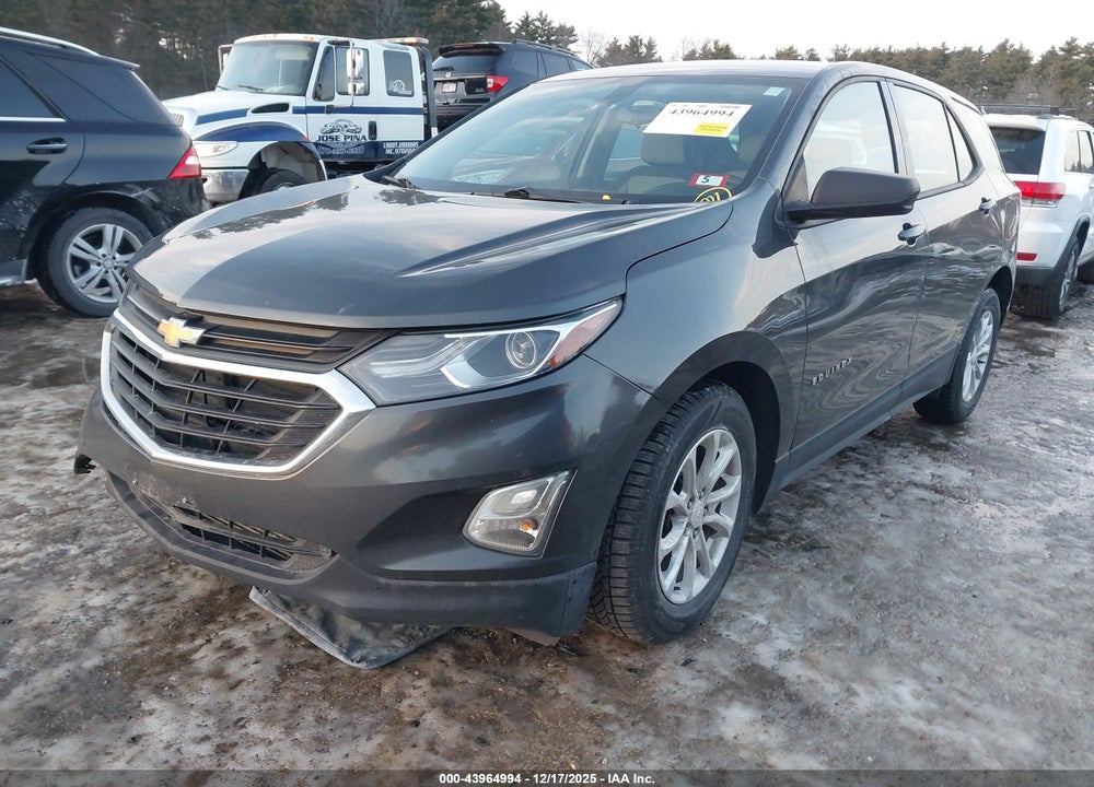 2019 CHEVROLET EQUINOX LS VIN: 2GNAXSEV0K6268709