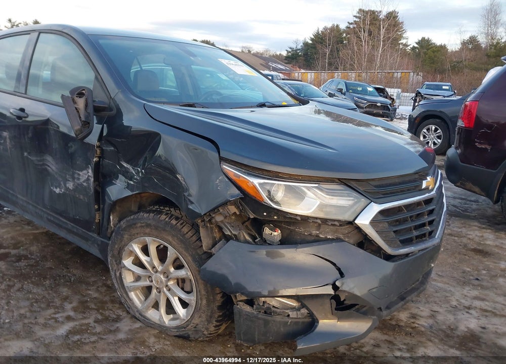 2019 CHEVROLET EQUINOX LS VIN: 2GNAXSEV0K6268709