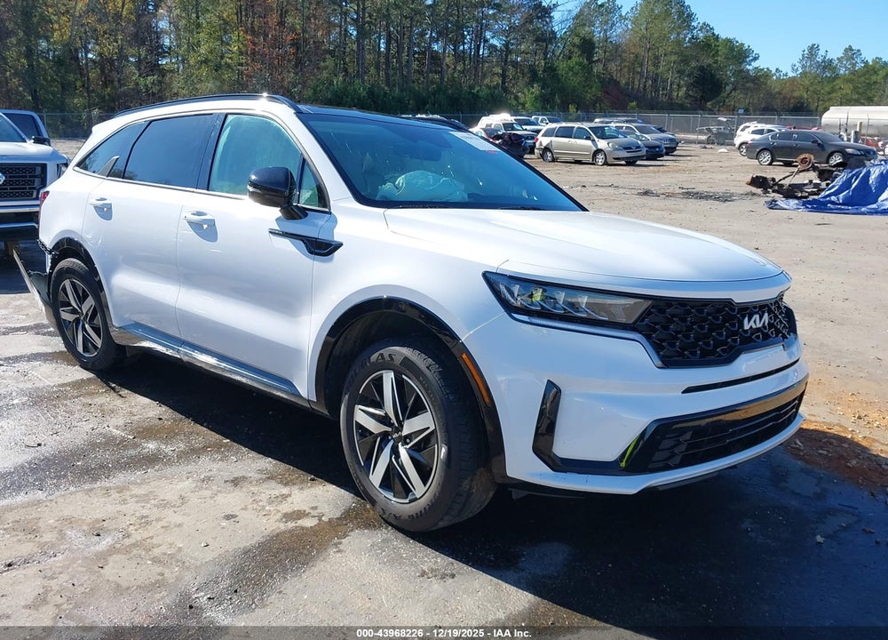 2023 KIA SORENTO S VIN: 5XYRL4LC9PG217885