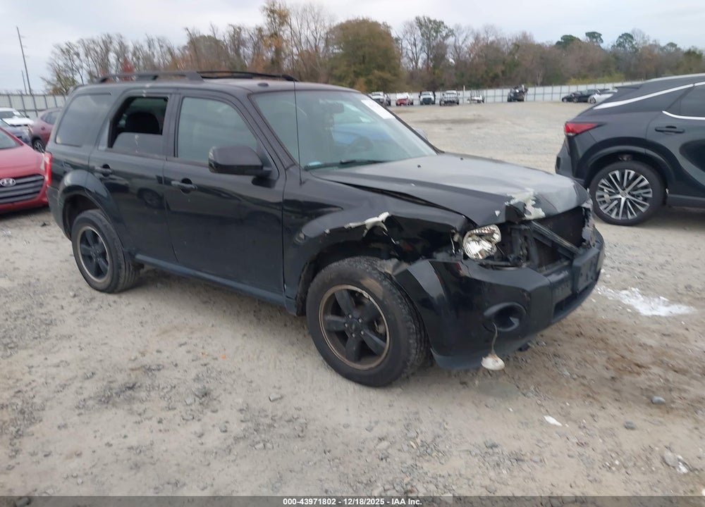2010 FORD ESCAPE XLT VIN: 1FMCU0DG1AKB54596