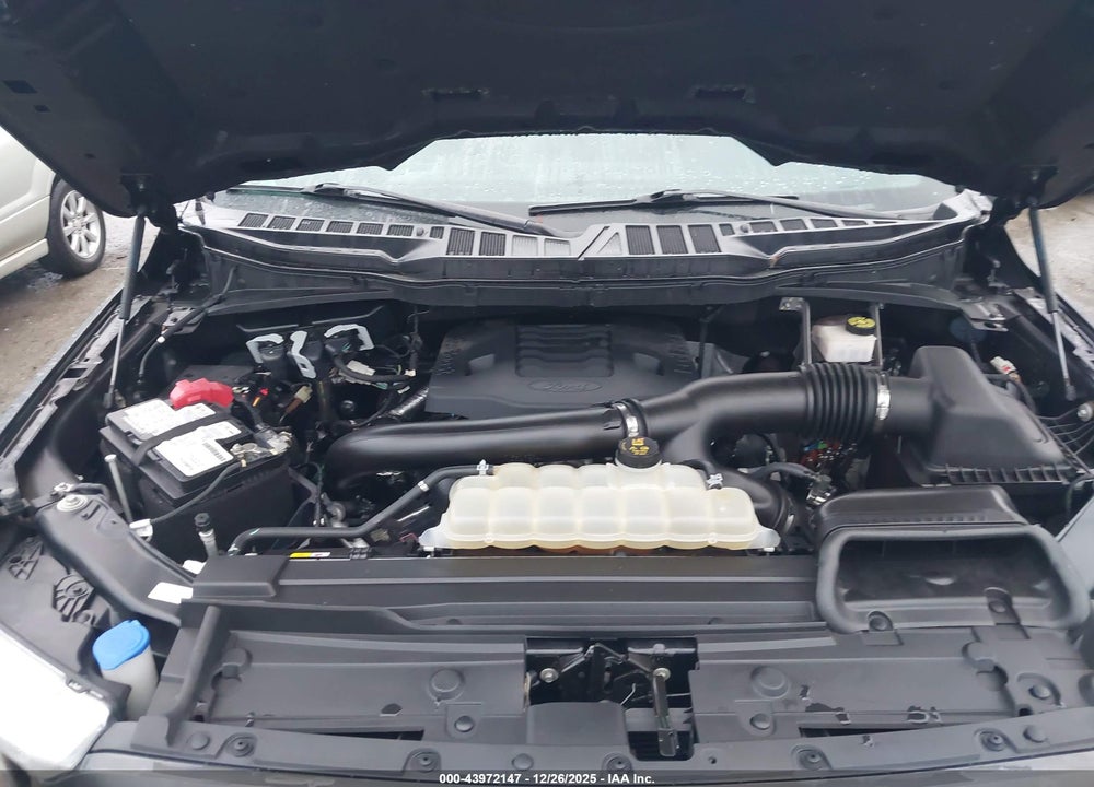 2021 FORD F-150 XLT VIN: 1FTFW1E85MFA33852