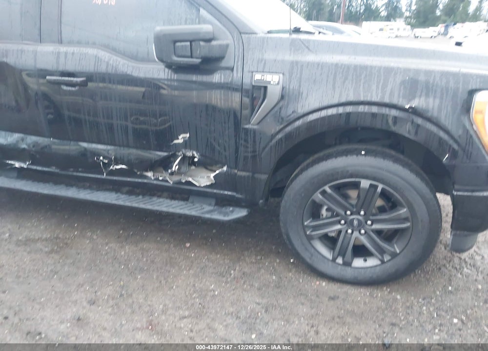 2021 FORD F-150 XLT VIN: 1FTFW1E85MFA33852