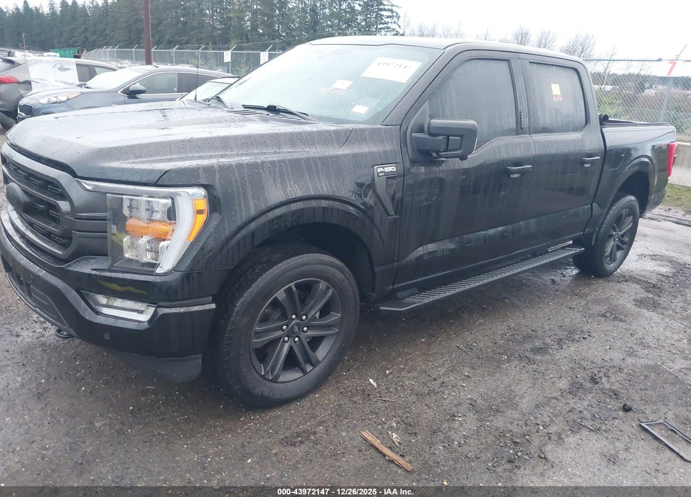 2021 FORD F-150 XLT VIN: 1FTFW1E85MFA33852