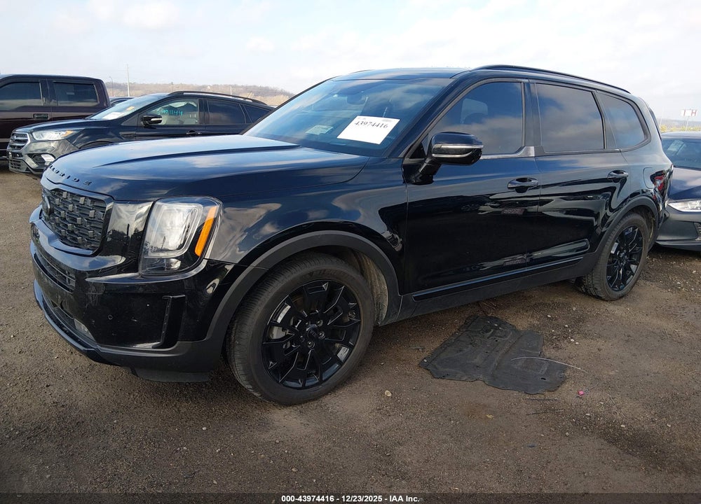 2021 KIA TELLURIDE SX VIN: 5XYP5DHC5MG191775