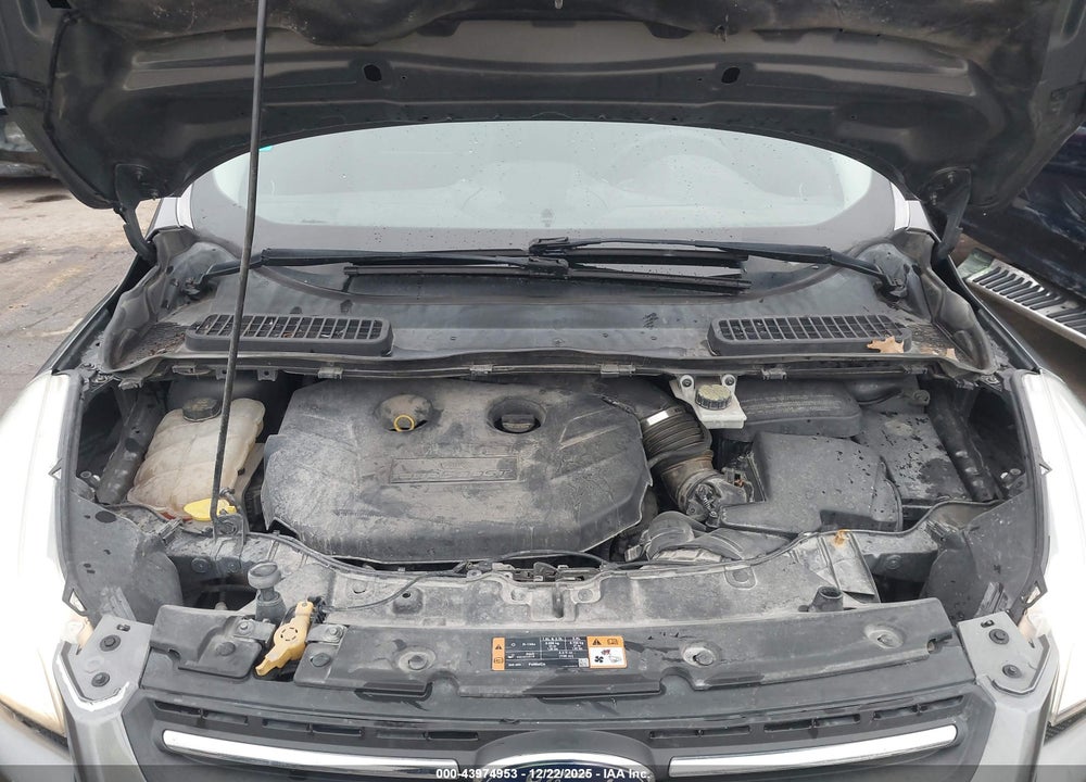 2014 FORD ESCAPE SE VIN: 1FMCU0G97EUE39505