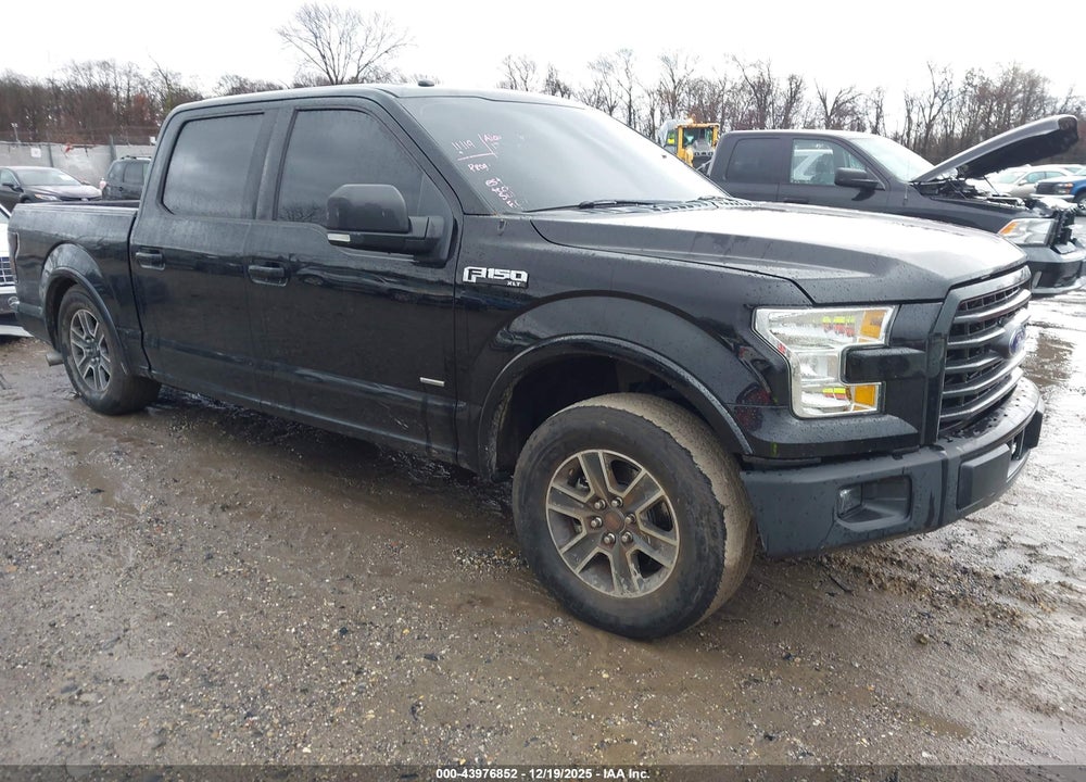 2016 FORD F-150 XLT VIN: 1FTEW1EP5GFC84989