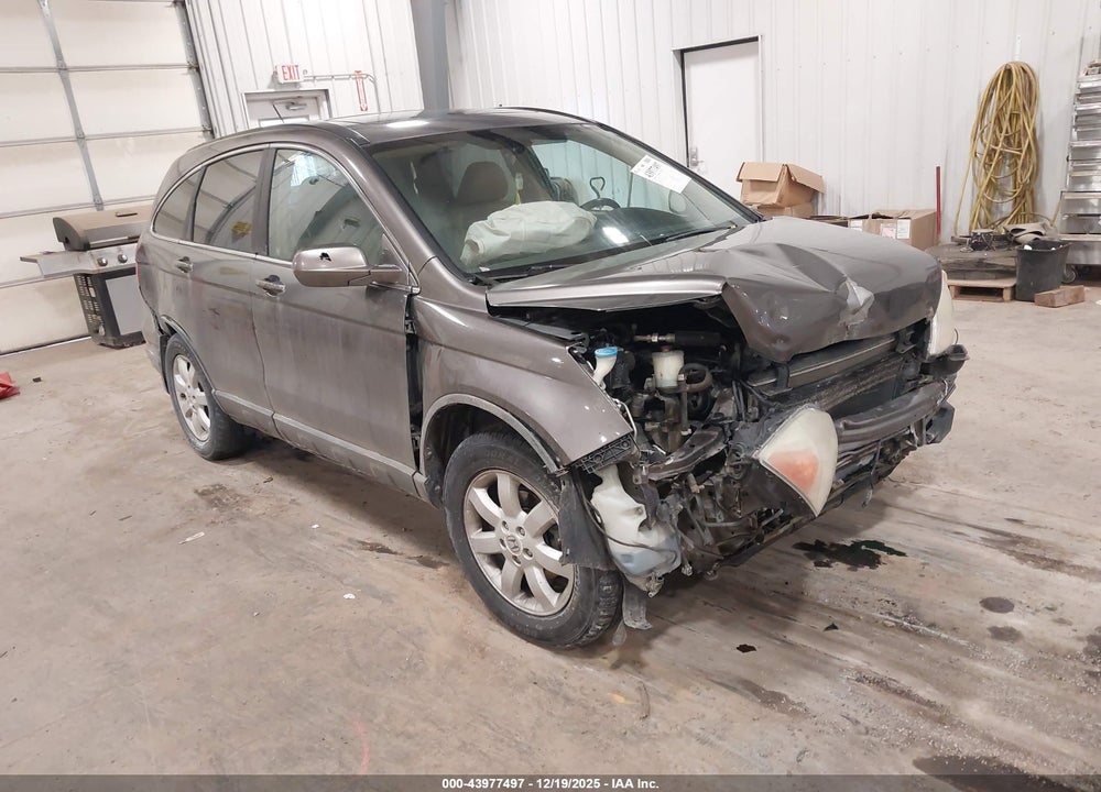 2009 HONDA CR-V EX-L VIN: 5J6RE48719L021267