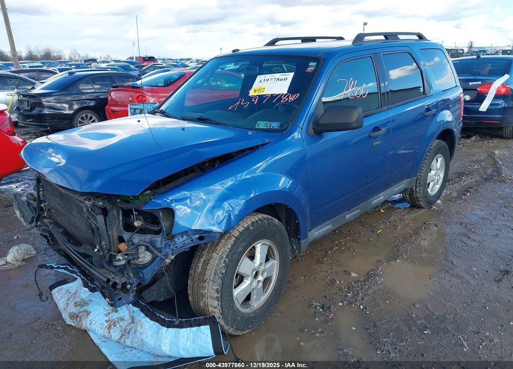 2010 FORD ESCAPE XLT VIN: 1FMCU9DG2AKA44788