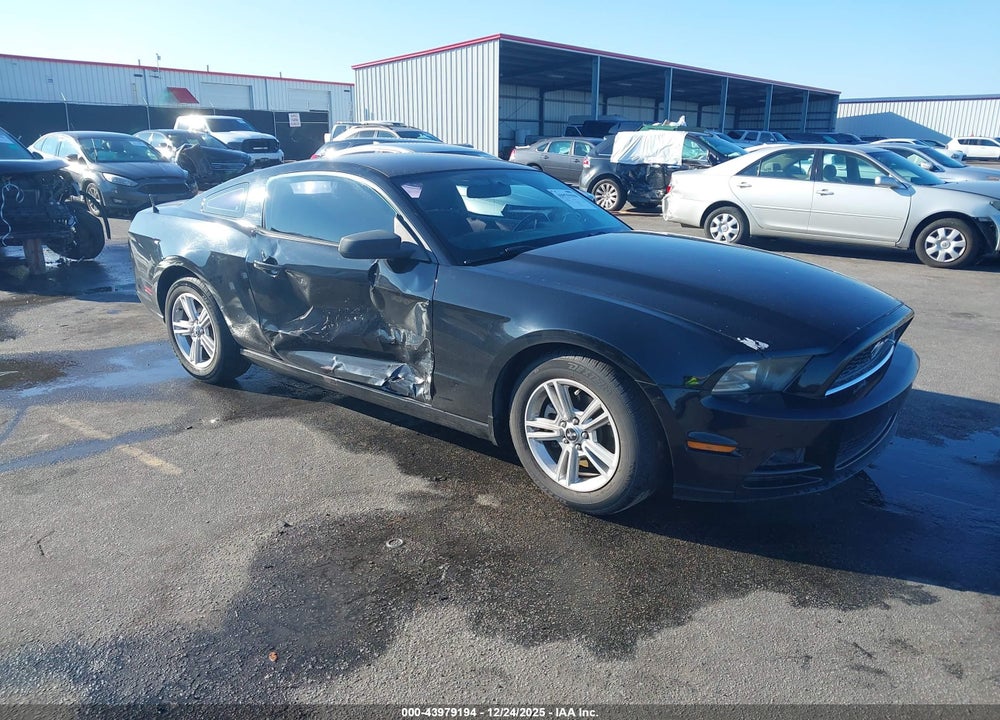 2013 FORD MUSTANG V6 VIN: 1ZVBP8AMXD5207425