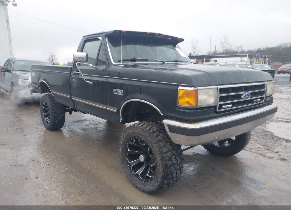 1991 FORD F150 VIN: 1FTEF14N8MLA02244