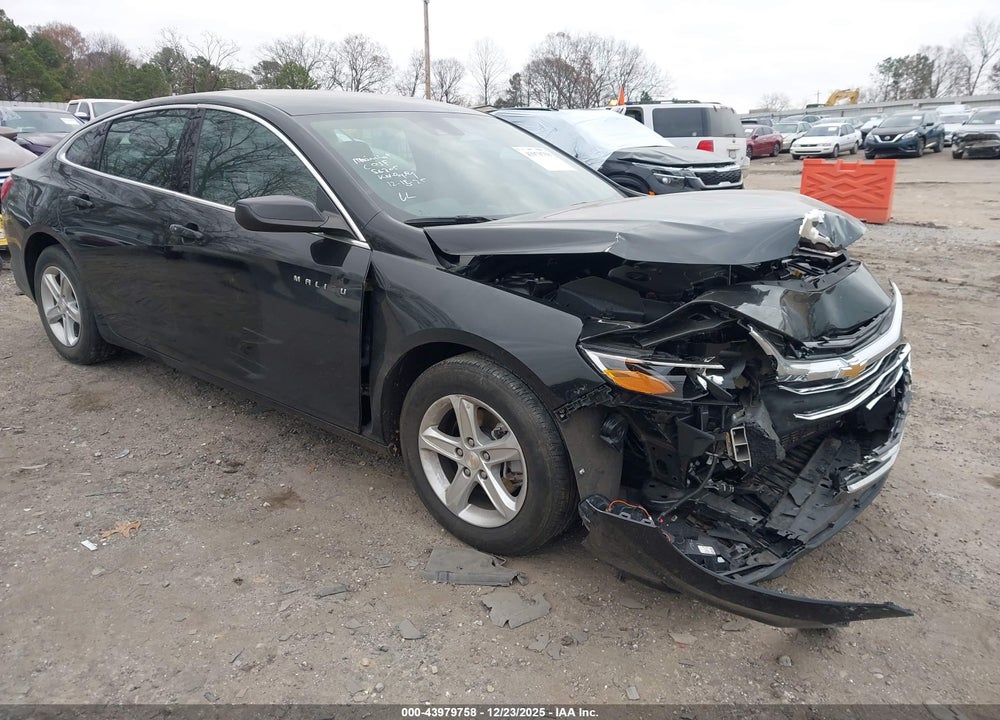 2024 CHEVROLET MALIBU FWD 1LT VIN: 1G1ZD5ST4RF196690