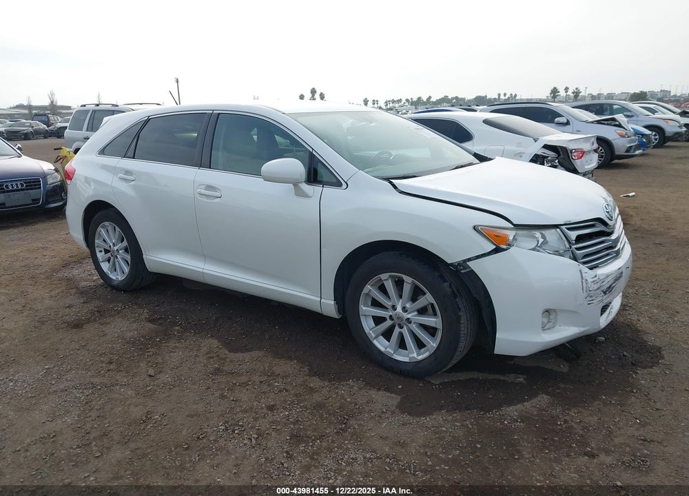 2010 TOYOTA VENZA VIN: 4T3ZA3BB8AU029876