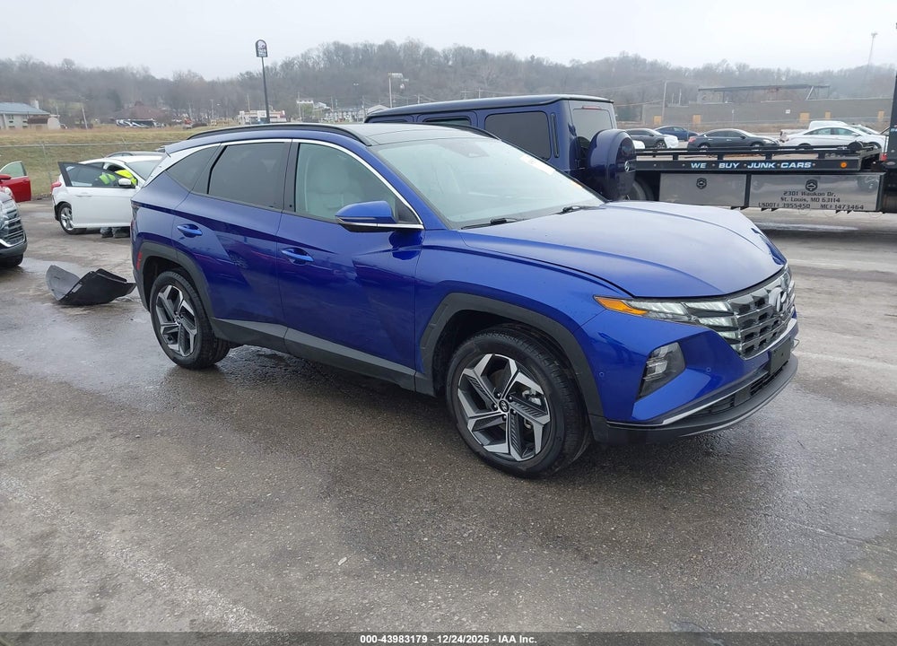 2024 HYUNDAI TUCSON LIMITED VIN: 5NMJECDE5RH355661