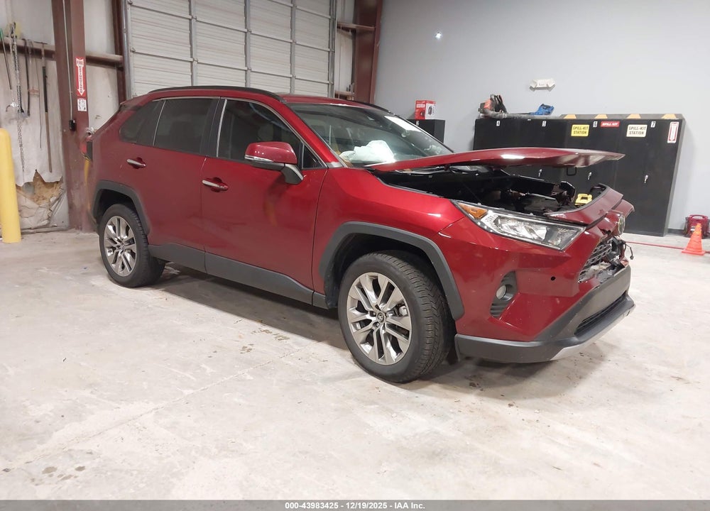 2019 TOYOTA RAV4 LIMITED VIN: 2T3Y1RFVXKW027695