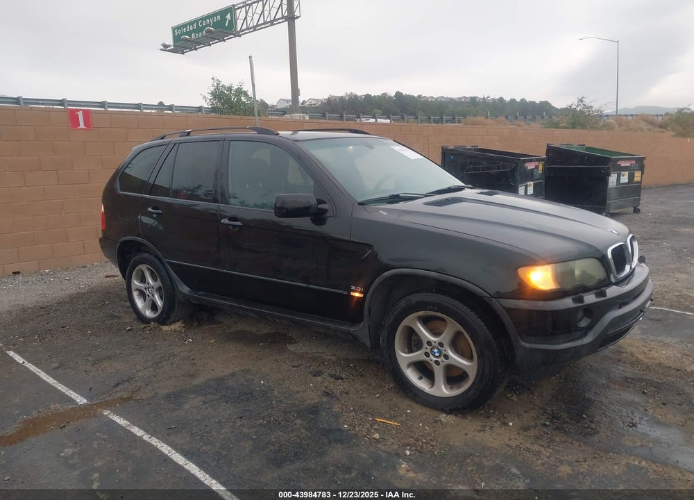2003 BMW X5 3.0I VIN: 5UXFA53513LV74622