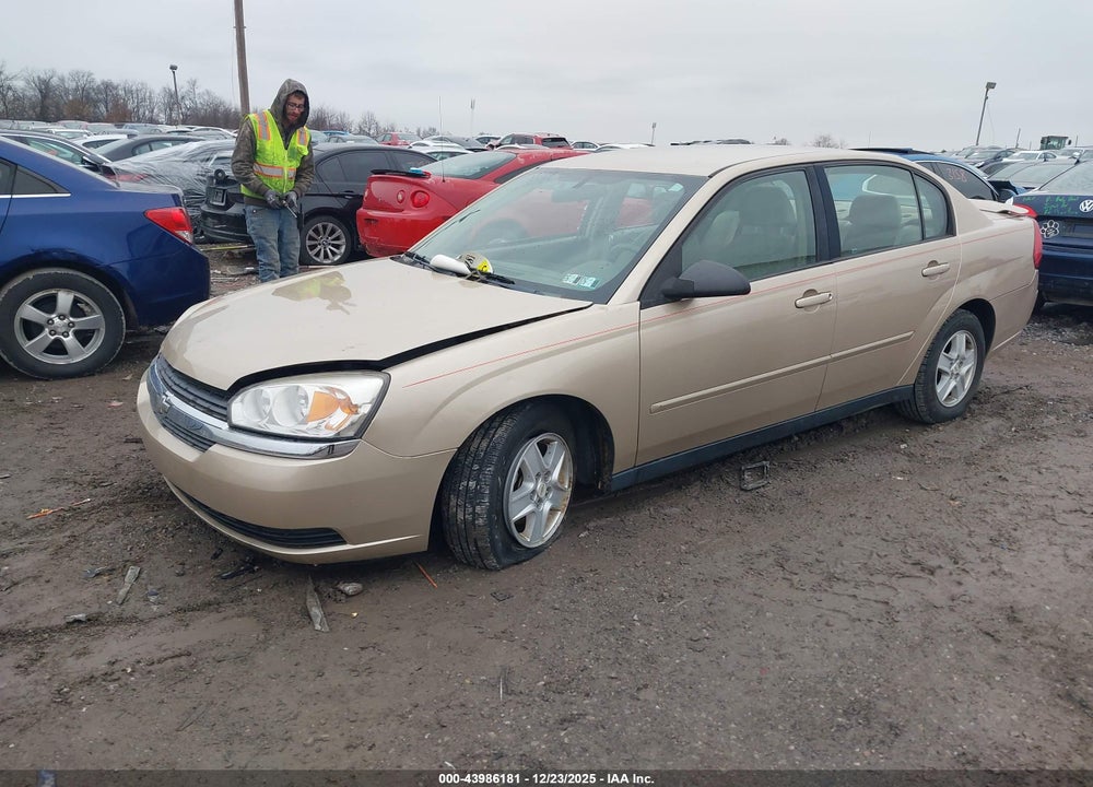2005 CHEVROLET MALIBU LS VIN: 1G1ZT54885F220270