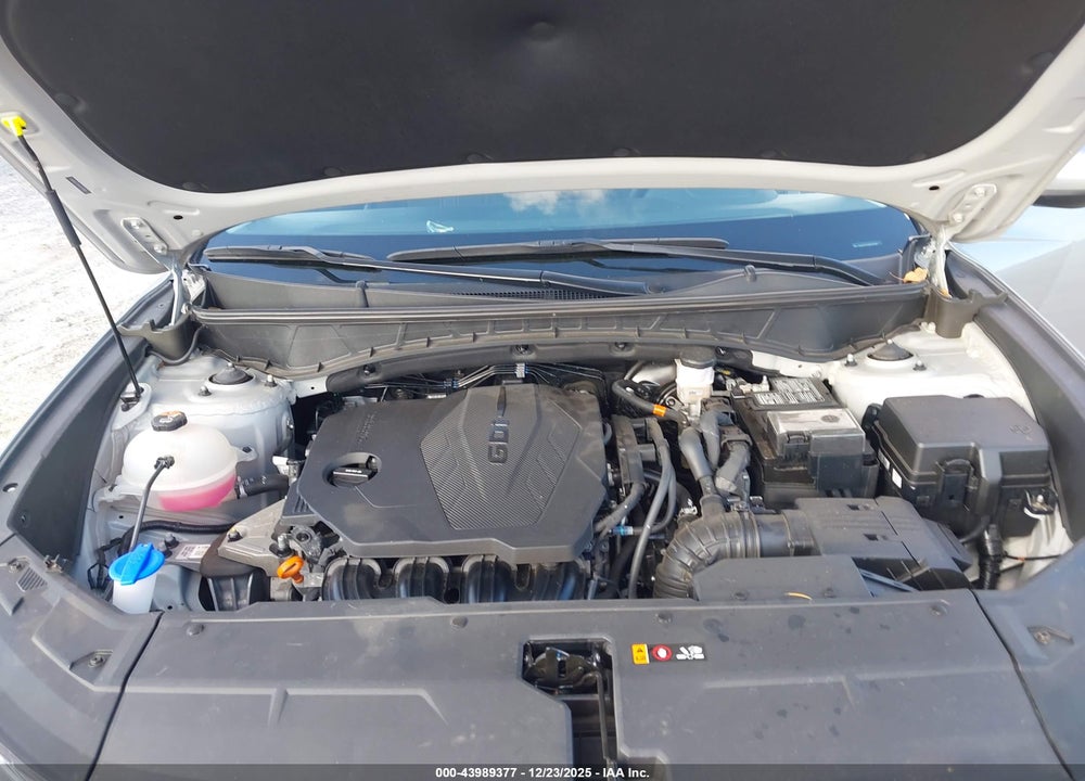 2024 HYUNDAI TUCSON SEL VIN: 5NMJBCDE4RH319940