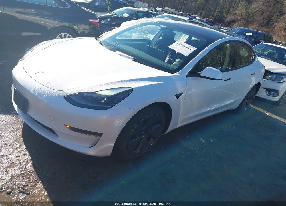 2023 TESLA MODEL 3 REAR-WHEEL DRIVE VIN: 5YJ3E1EA4PF550593