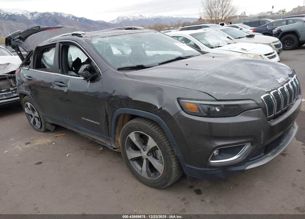 2019 JEEP CHEROKEE LIMITED 4X4 VIN: 1C4PJMDX7KD113403
