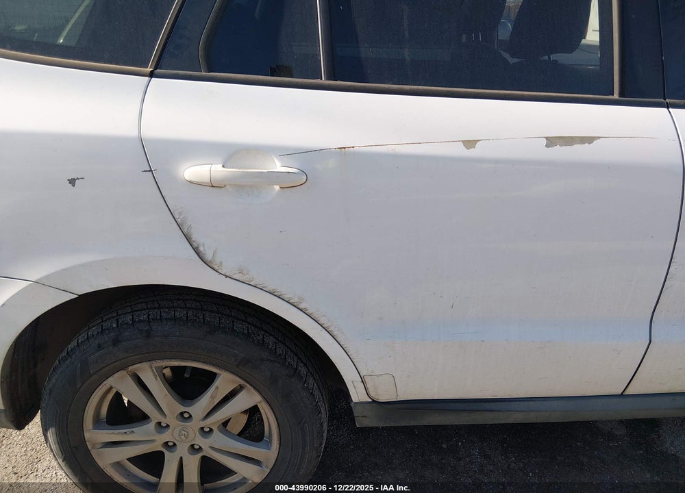 2010 HYUNDAI SANTA FE SE VIN: 5NMSHDAG8AH410079