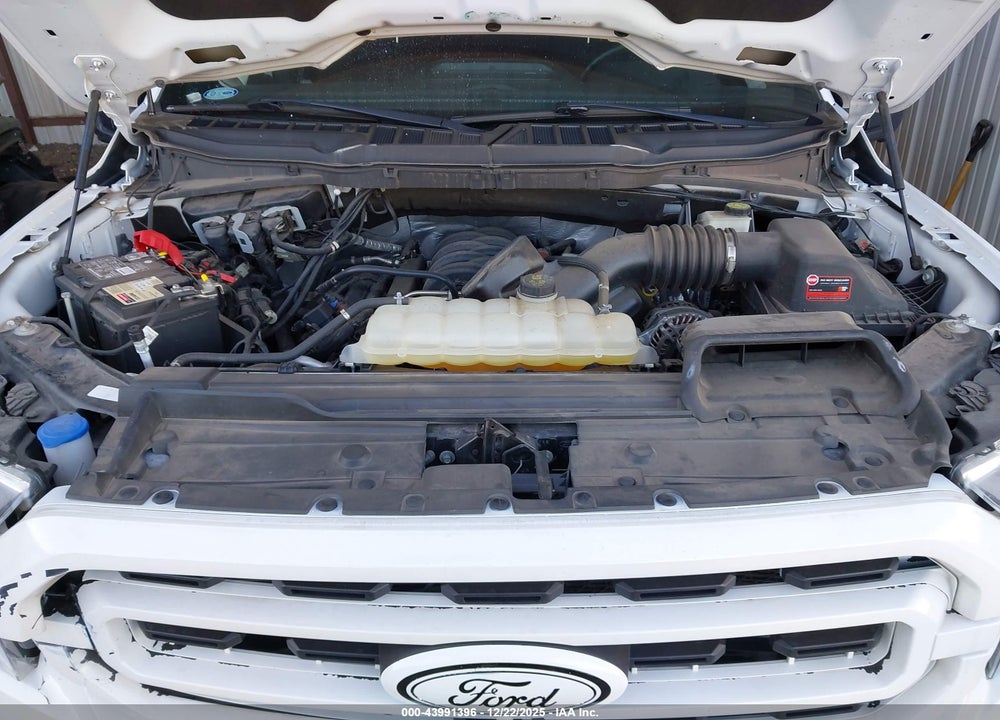 2023 FORD F-150 XLT VIN: 1FTFW1E54PKD16695