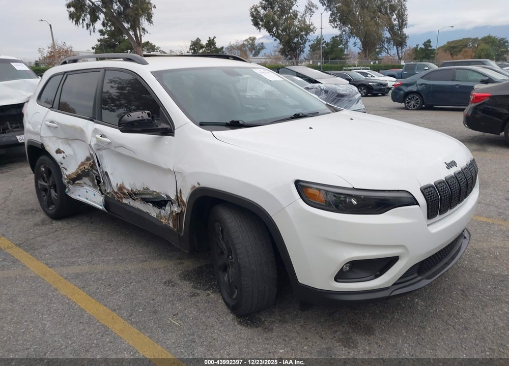 2019 JEEP CHEROKEE ALTITUDE FWD VIN: 1C4PJLLX9KD286027
