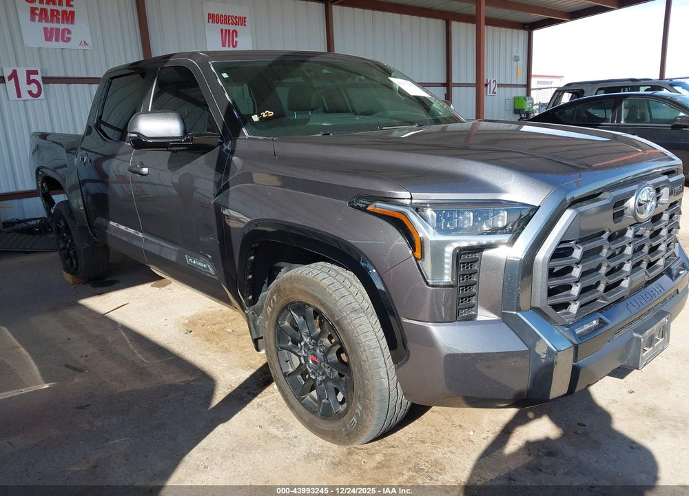 2025 TOYOTA TUNDRA PLATINUM VIN: 5TFWA5DB5SX282842