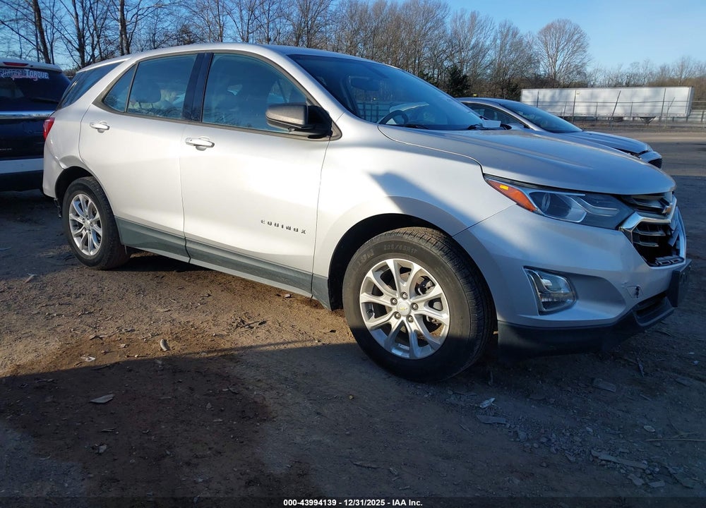 2019 CHEVROLET EQUINOX LS VIN: 2GNAXHEV0K6176423