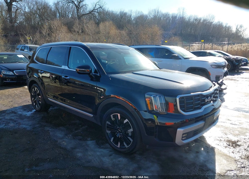 2024 KIA TELLURIDE SX VIN: 5XYP5DGC6RG450718