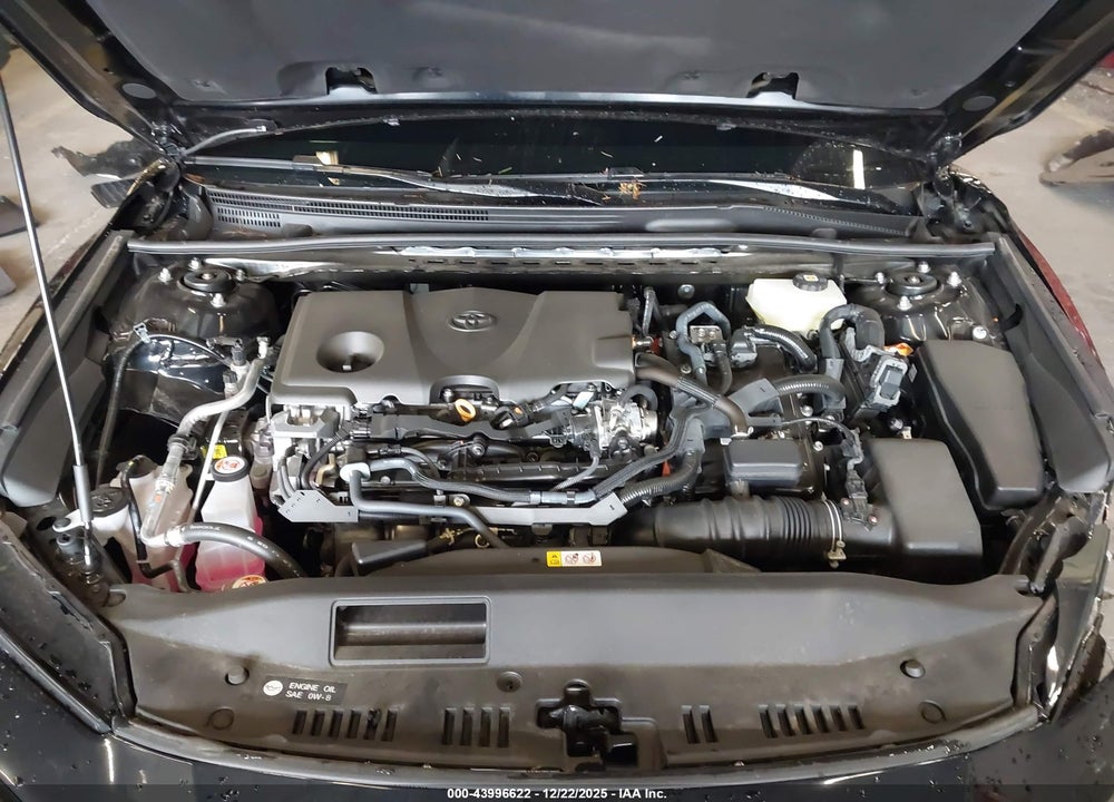 2025 TOYOTA CAMRY SE VIN: 4T1DBADK6SU534365