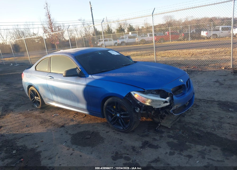 2016 BMW 228I VIN: WBA1F9C55GV545927