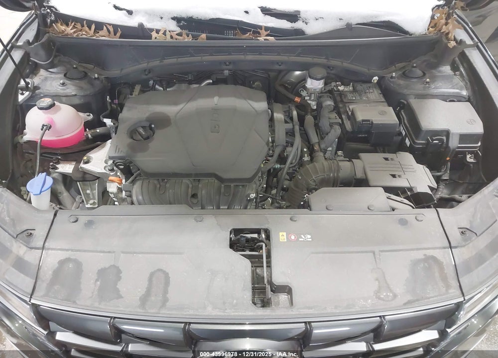 2023 HYUNDAI TUCSON SE VIN: 5NMJACAE6PH273144