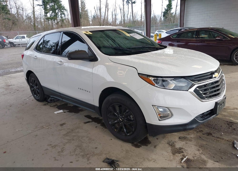 2019 CHEVROLET EQUINOX LS VIN: 3GNAXSEV6KS564545