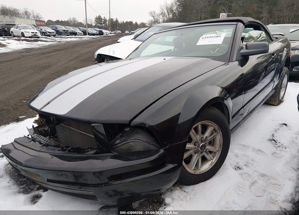2006 FORD MUSTANG V6 VIN: 1ZVHT84N965119575