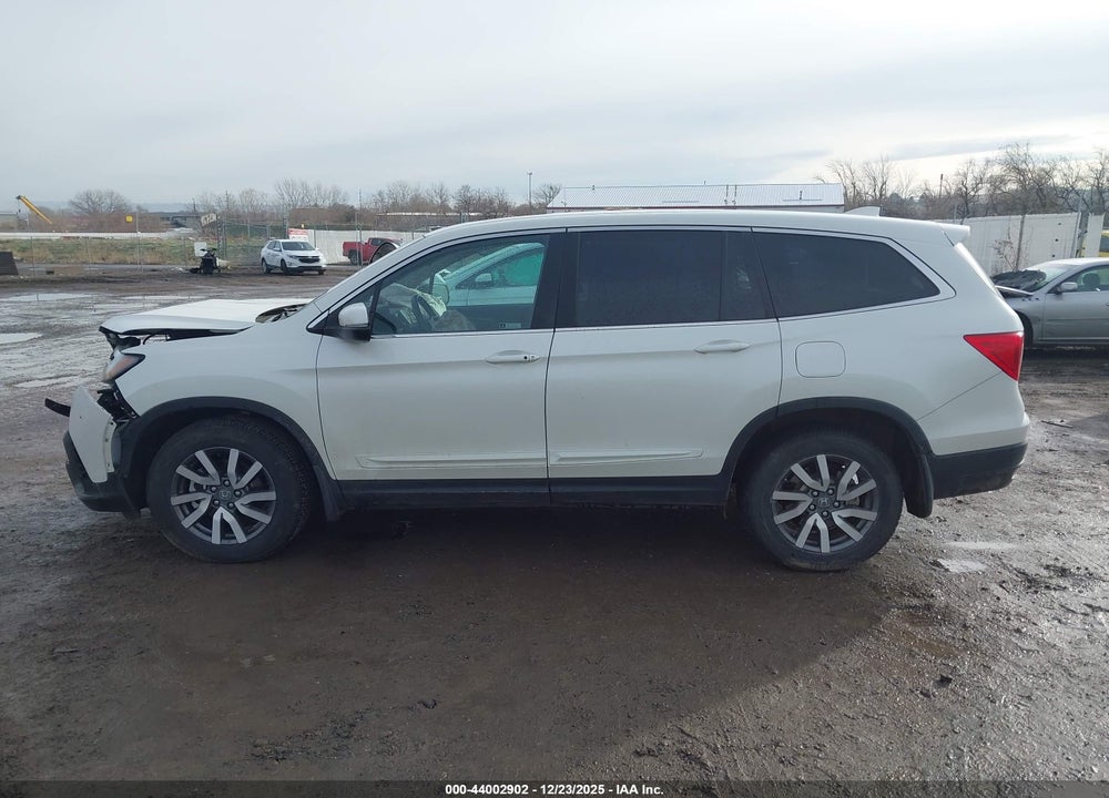 2019 HONDA PILOT EX-L VIN: 5FNYF6H55KB010077