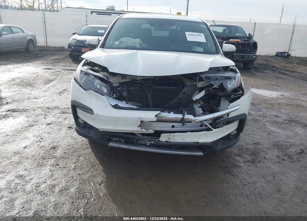 2019 HONDA PILOT EX-L VIN: 5FNYF6H55KB010077