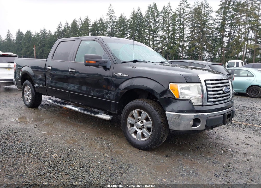 2010 FORD F-150 XL/XLT VIN: 1FTFW1E85AFA90726