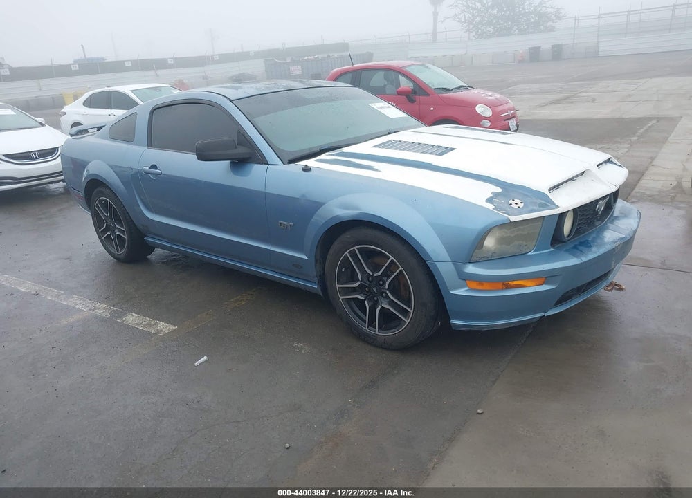 2005 FORD MUSTANG GT DELUXE/GT PREMIUM VIN: 1ZVHT82H955105056
