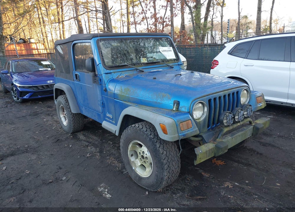 2003 JEEP WRANGLER SE VIN: 1J4FA29173P366865