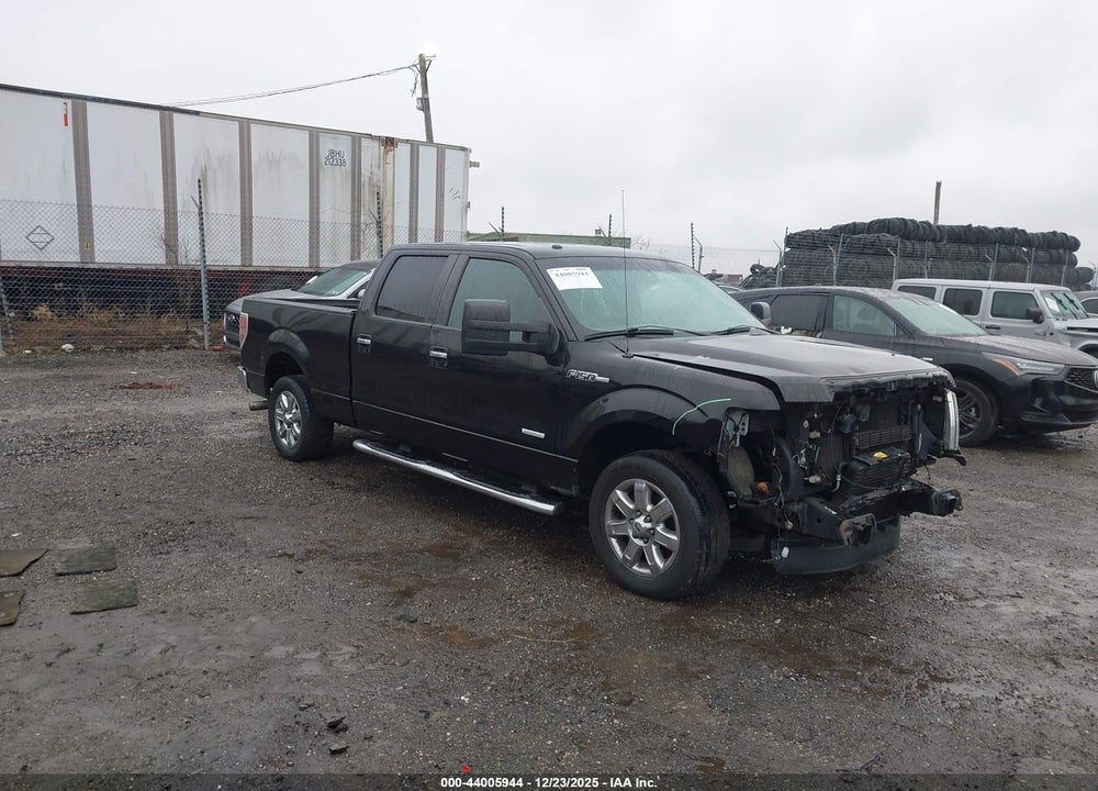 2013 FORD F-150 XLT VIN: 1FTFW1CT3DFD95704