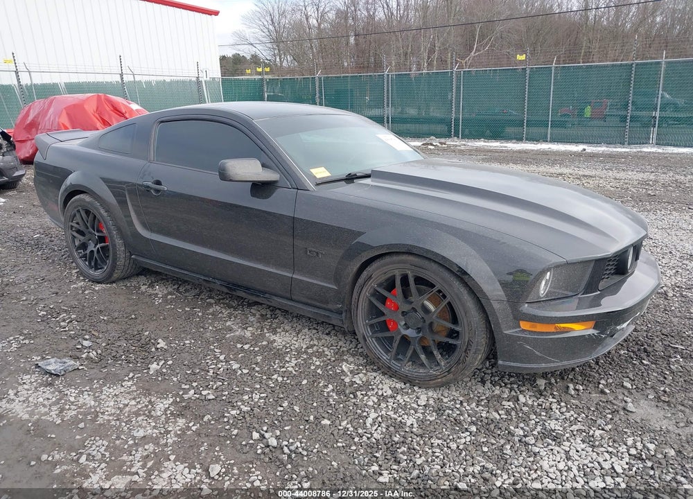 2005 FORD MUSTANG GT DELUXE/GT PREMIUM VIN: 1ZVFT82H855106688