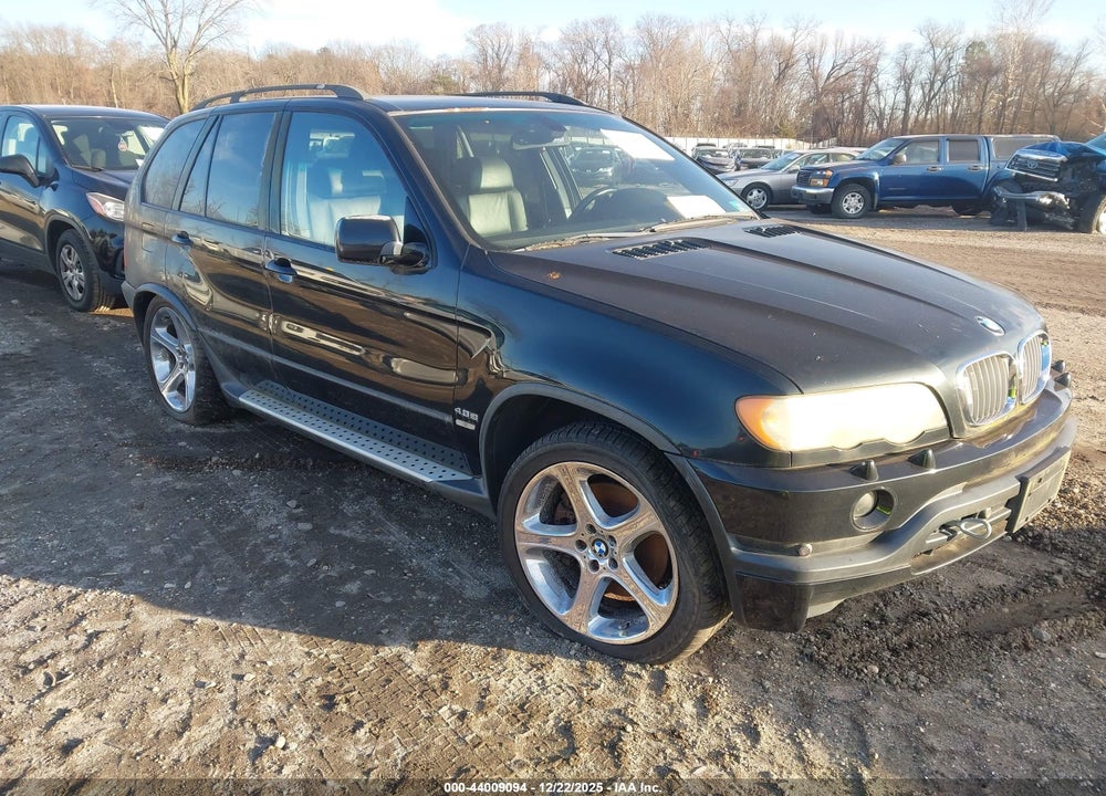 2003 BMW X5 4.6IS VIN: 5UXFB93533LN81169