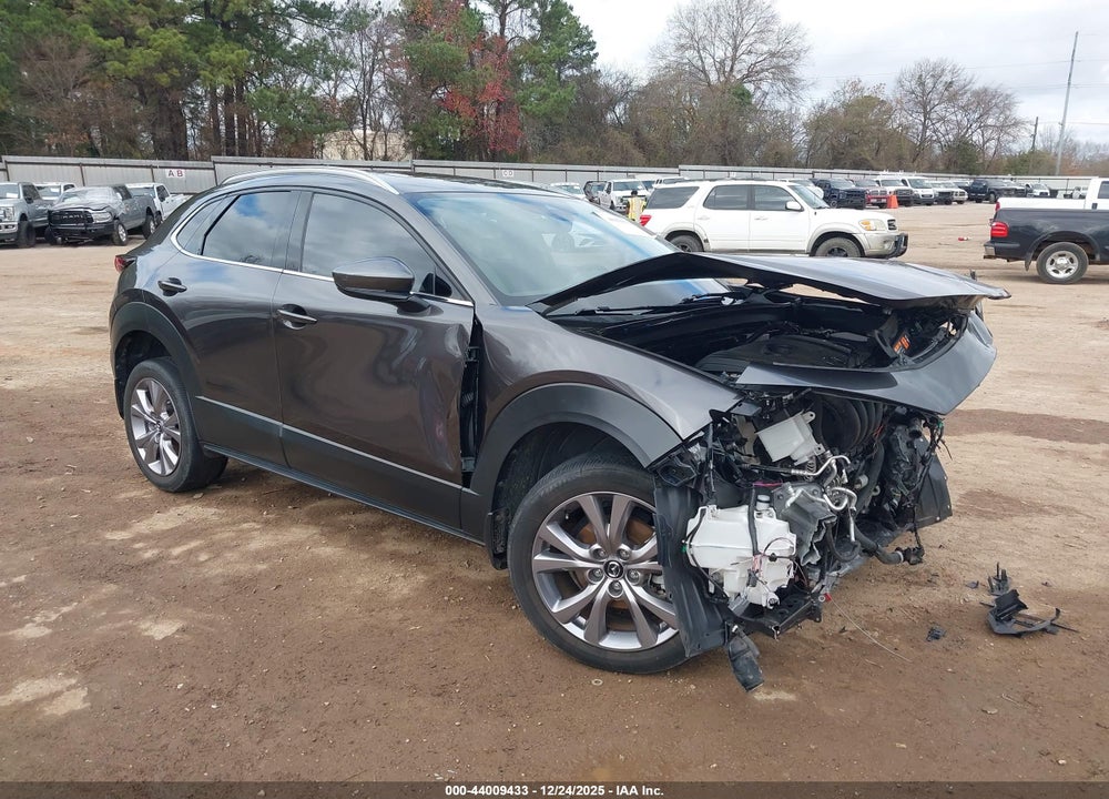 2021 MAZDA CX-30 PREMIUM VIN: 3MVDMBDL4MM309851