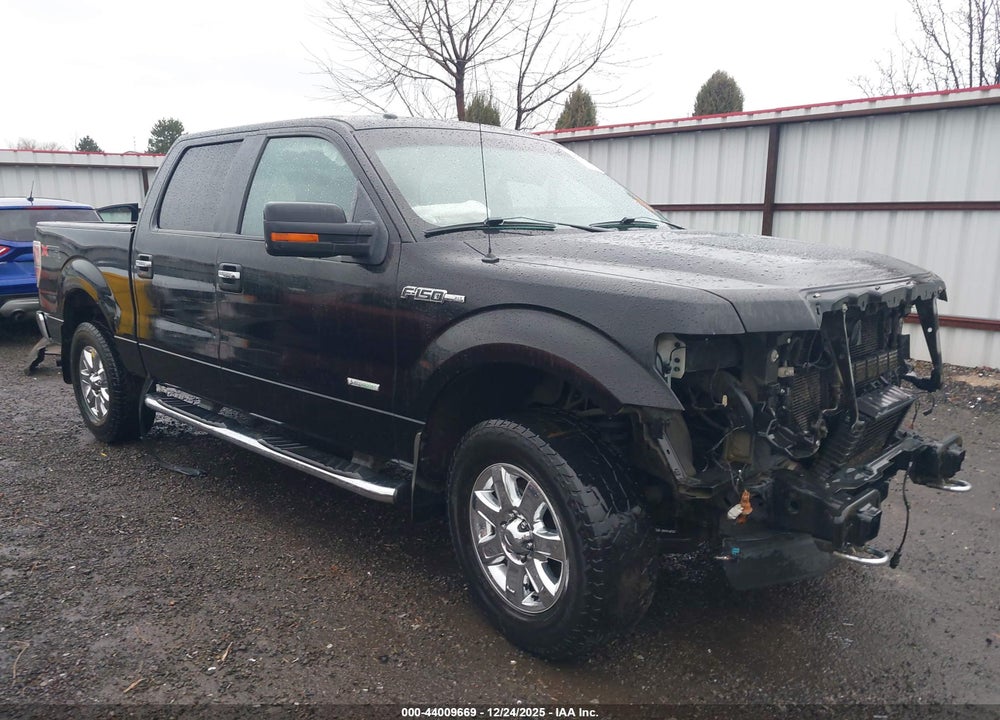 2014 FORD F-150 XLT VIN: 1FTFW1ET4EKF58205