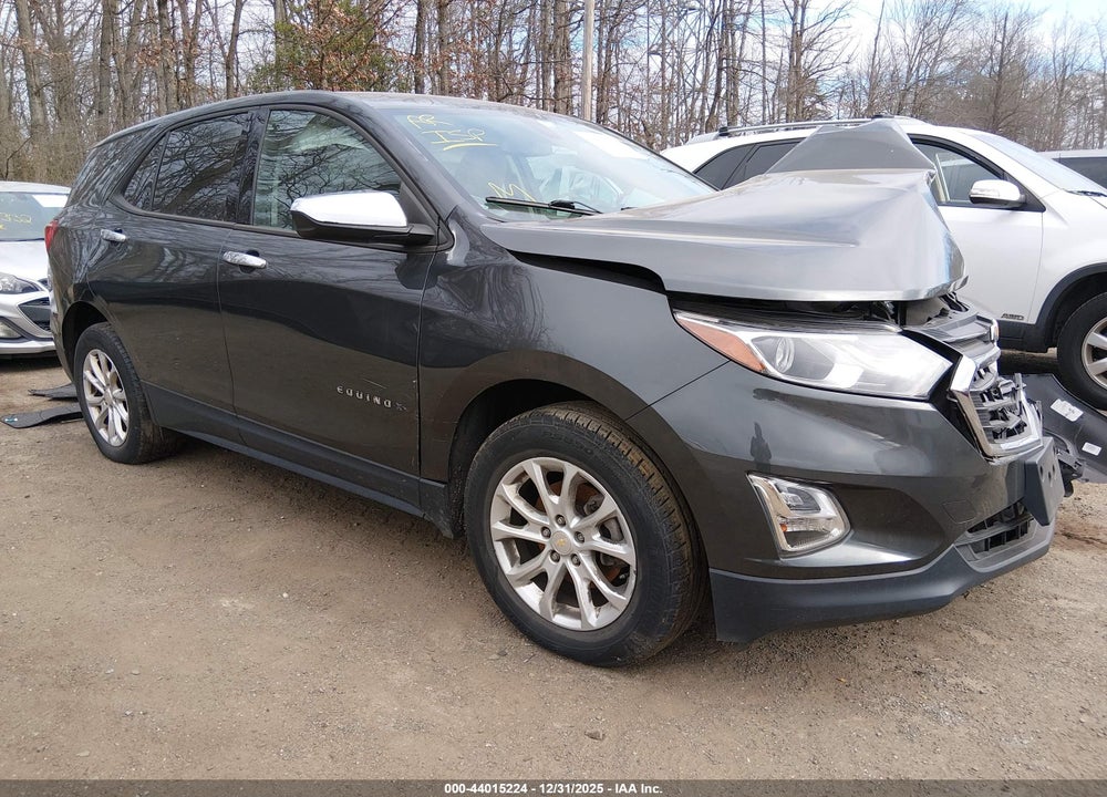 2019 CHEVROLET EQUINOX LS VIN: 2GNAXHEV8K6103218