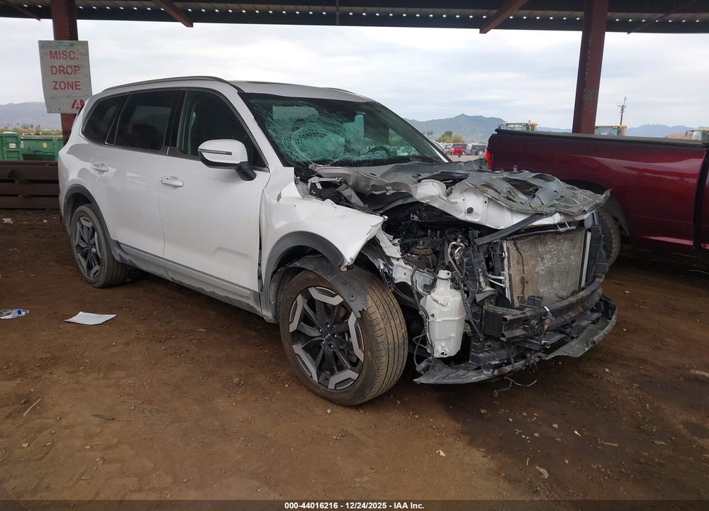 2024 KIA TELLURIDE EX VIN: 5XYP3DGC5RG456175